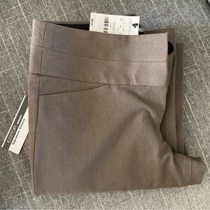 Express Editor Pants - cool earth